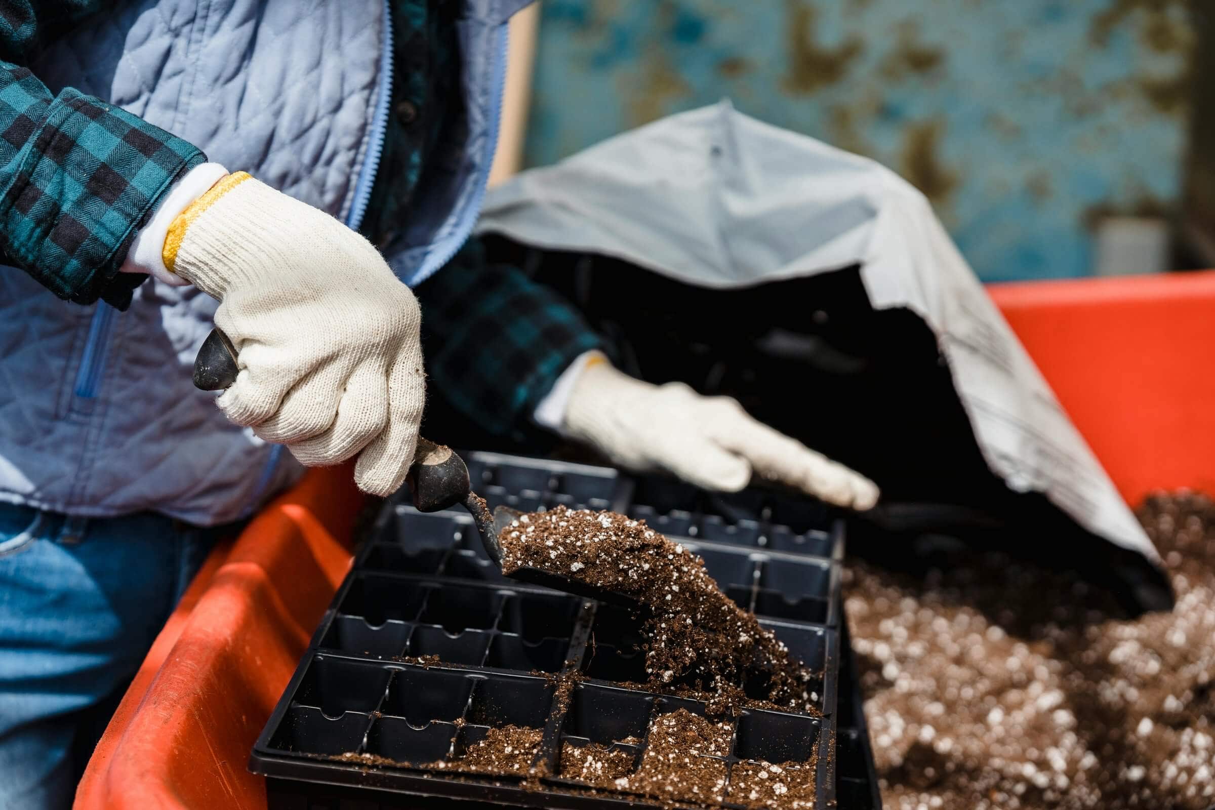 Urban Gardening on Small Lots: How to Grow Food While Protecting It From Wildlife