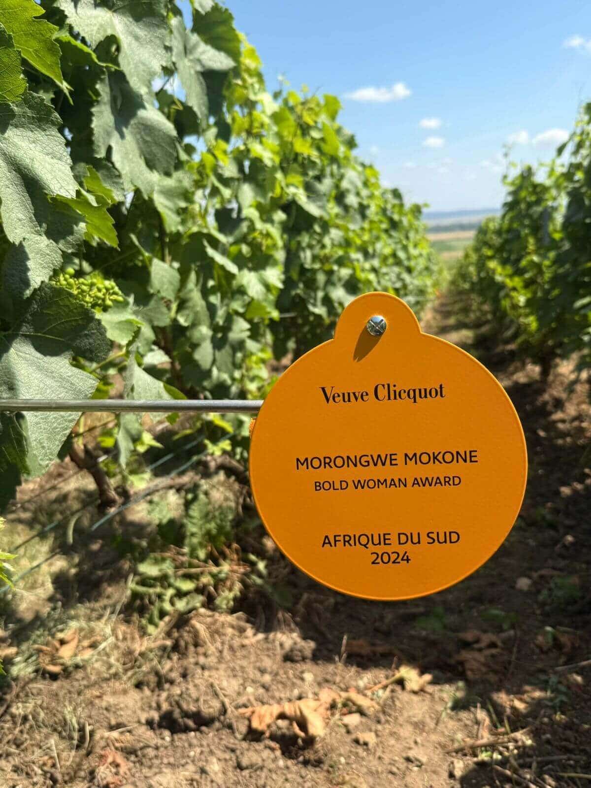 From South Africa to France: Mo’s Story Is Etched in the Vines!