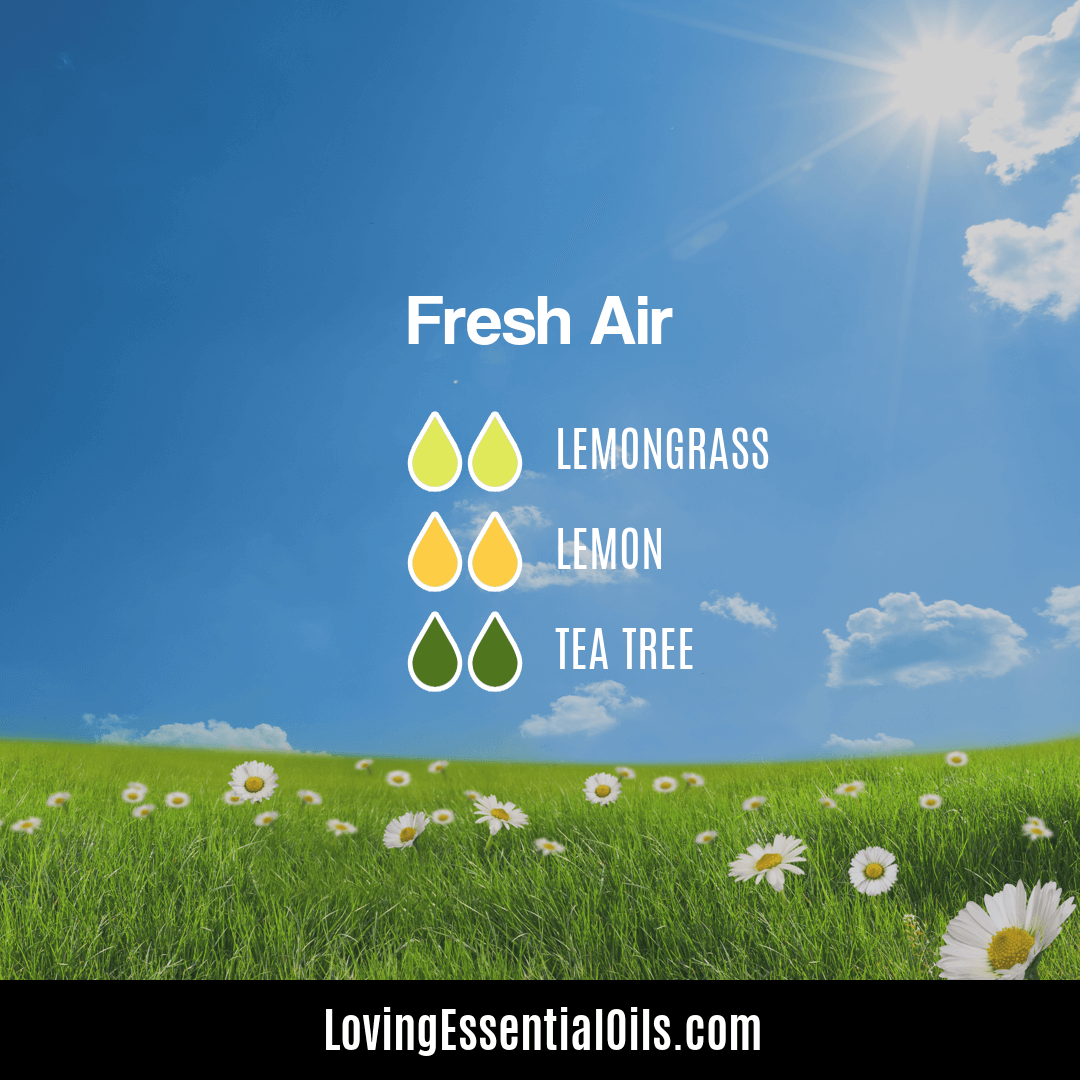 Fresh Air diffuser blend with lemongrass, lemon and tea tree