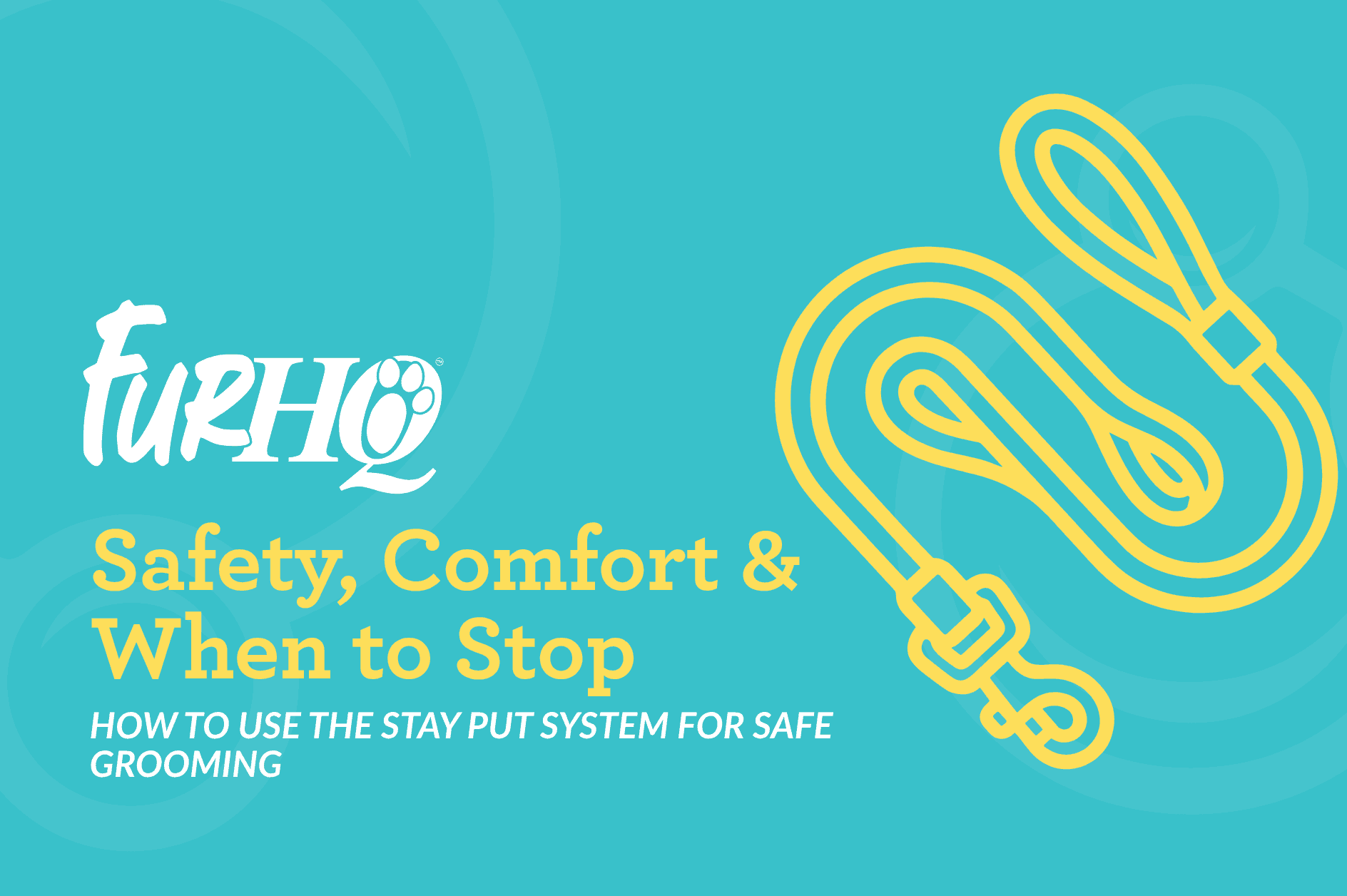 How To Use The Stay Put System For Safe Grooming