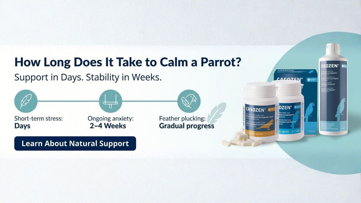 Infographic explaining how long it can take to calm a stressed parrot, featuring Casozen calming supplements and different stress recovery timelines