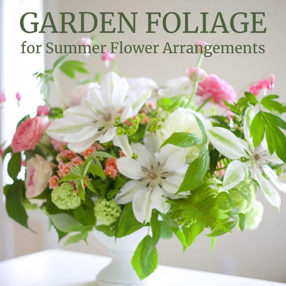 Garden Foliage for Flower Arrangements