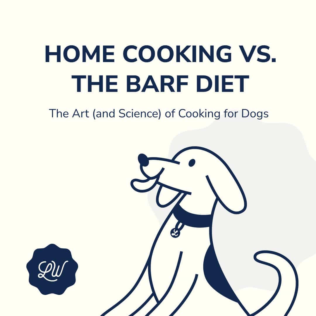 Home Cooking vs. the BARF Diet: The Art (and Science) of Cooking for Dogs