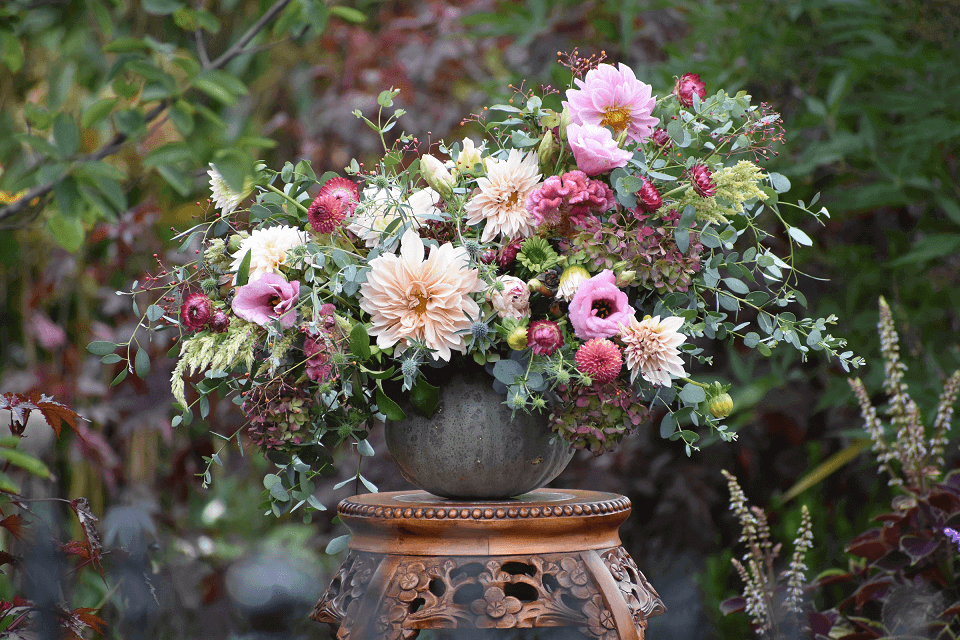 Dahlia Flower Forms for the garden and vase Longfield Gardens
