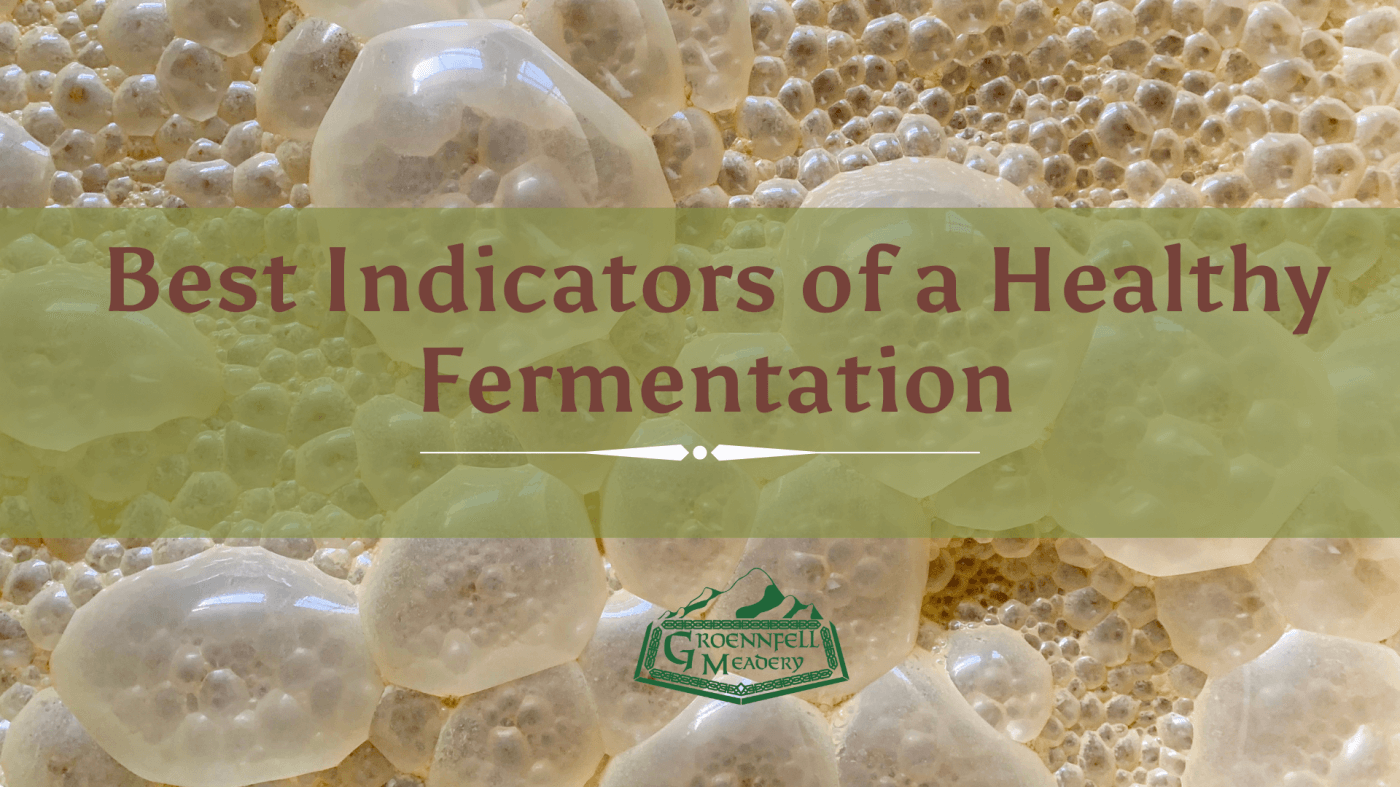 Best Indicators of a Healthy Fermentation