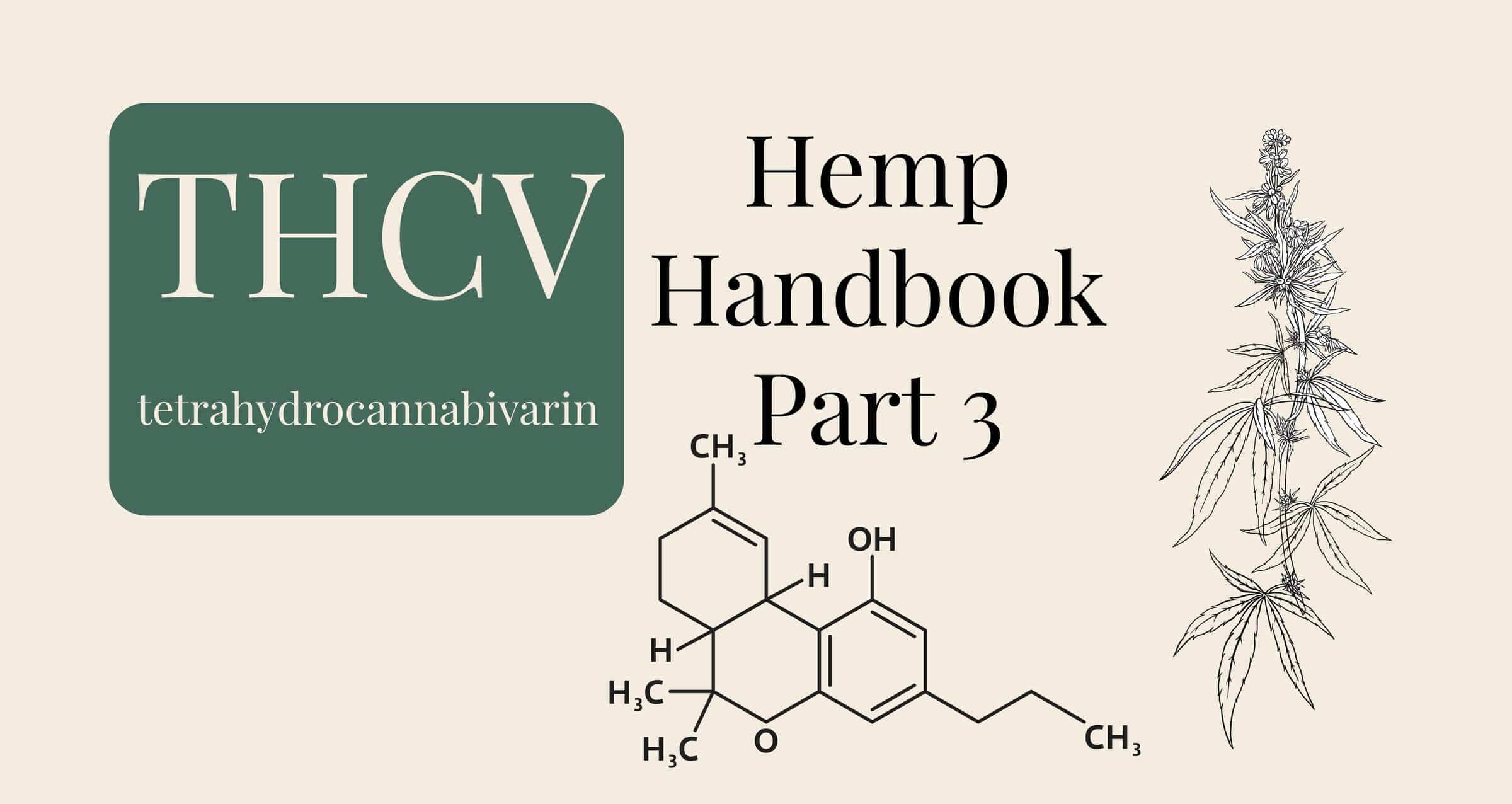 What is THCV, tetrahydrocannabivarin and hemp botanical illustration
