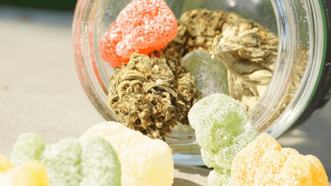 CBD Gummies Vs. Hemp Gummies: What's The Difference?