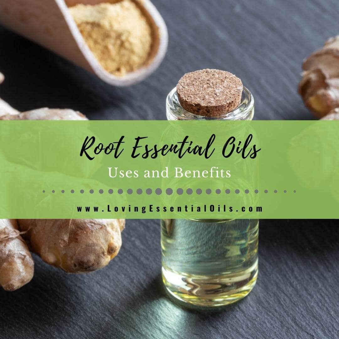 What are Root Essential Oils? Uses and Benefits with DIY Recipes