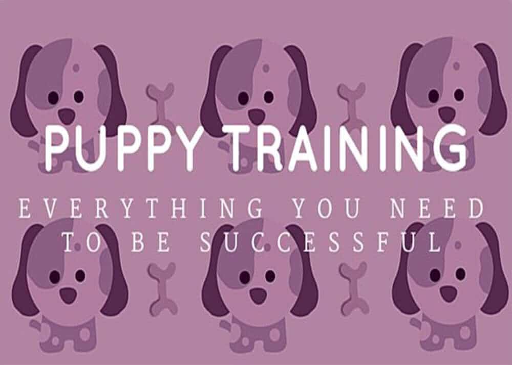 Puppy Training Downloadable e-book cover