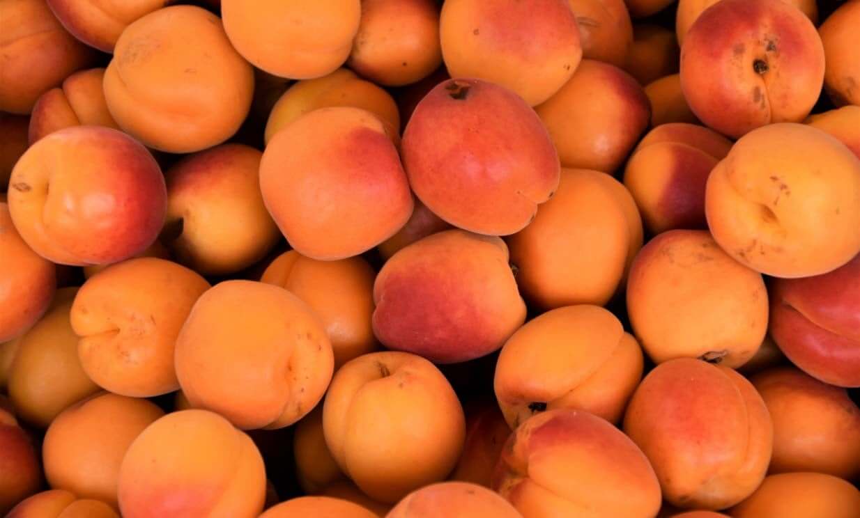 Fresh golden apricots displaying natural vitamin-rich ingredients for upcycled skincare