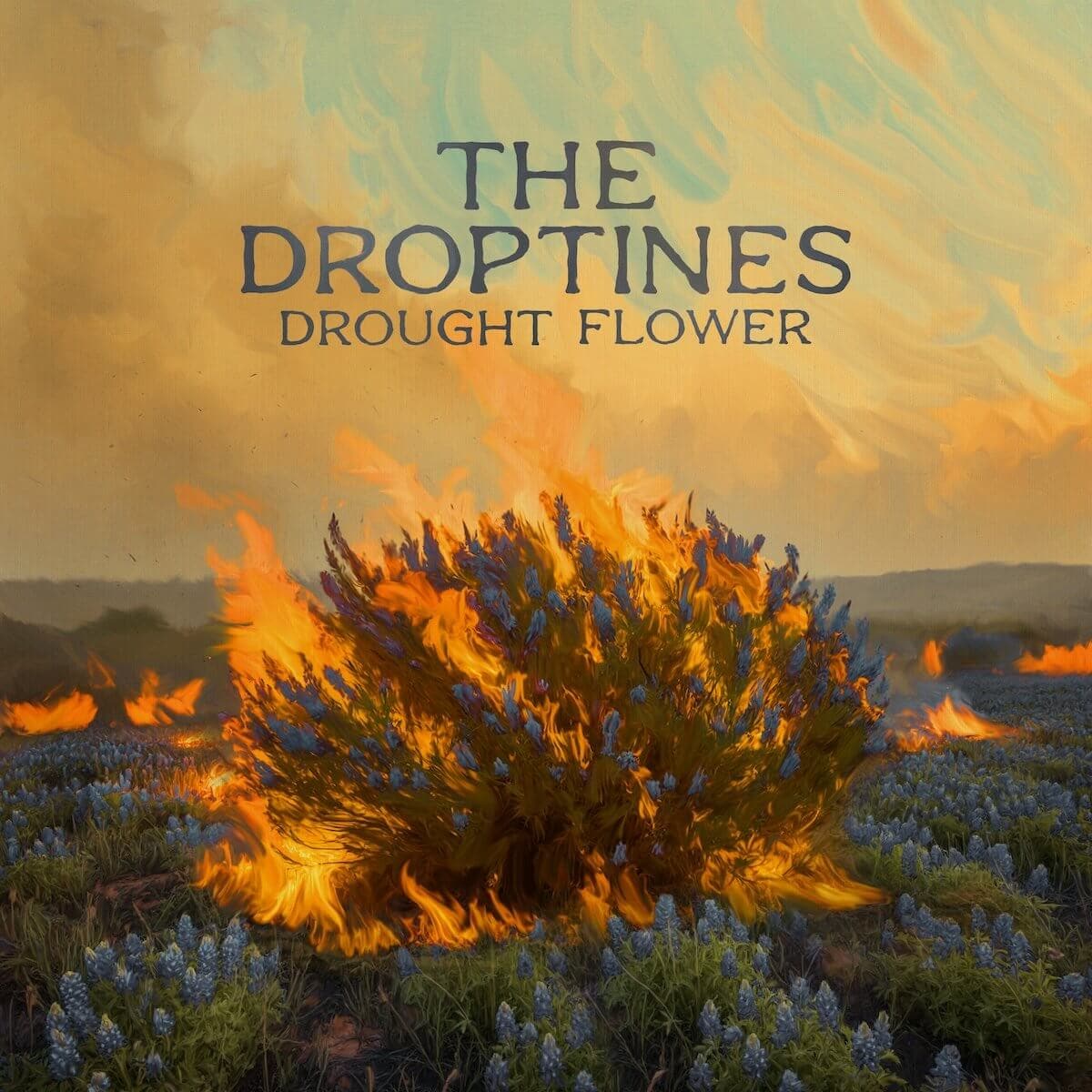 Drought Flower Album Cover