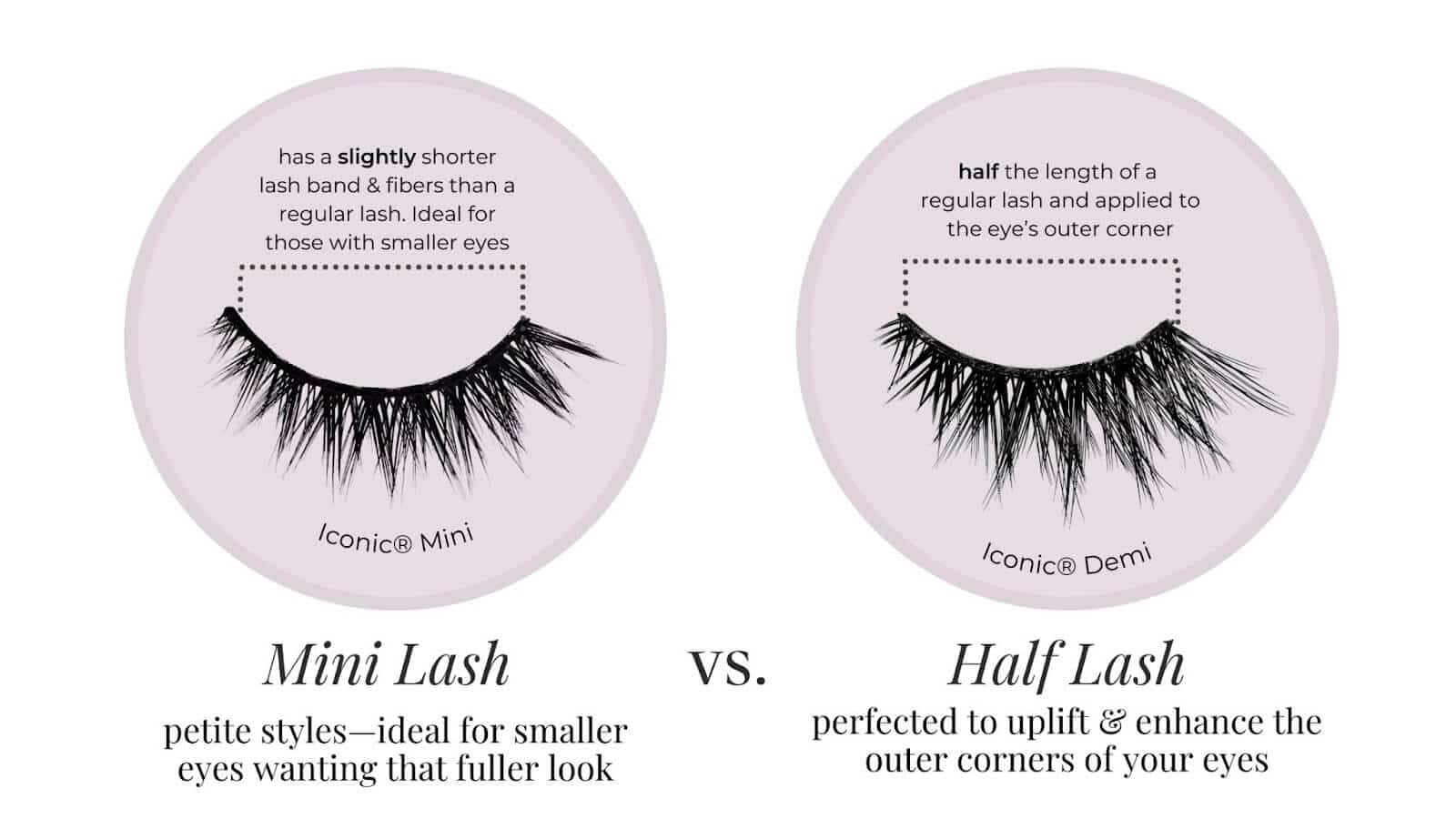 Mini false lash vs a half lash graphic