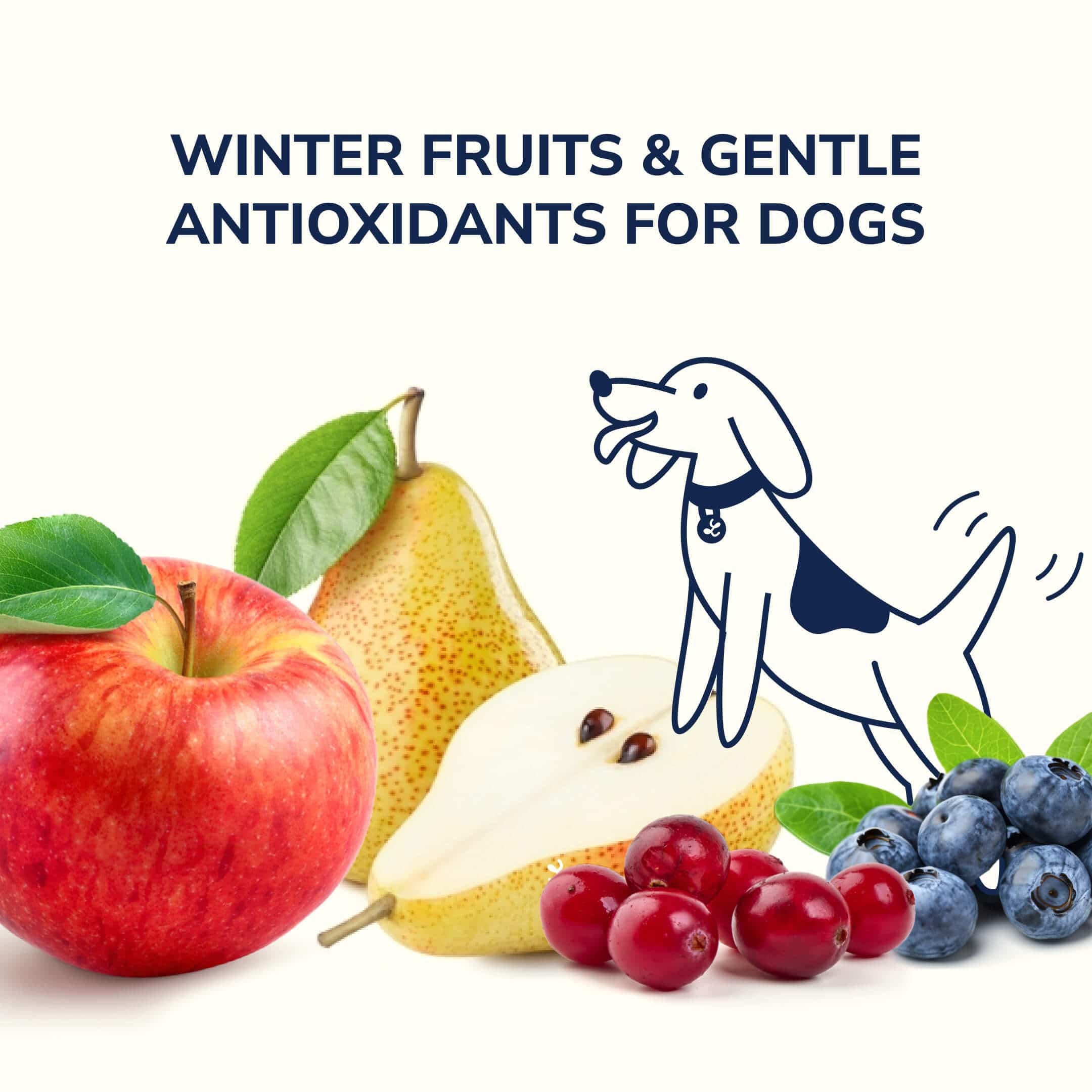 Winter Fruits & Gentle Antioxidants for Dogs
