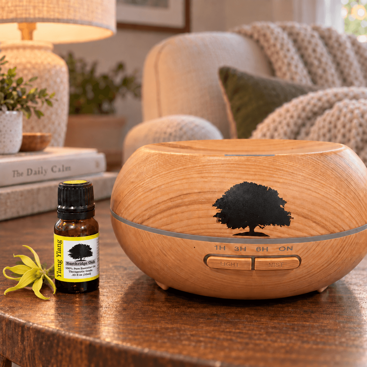 Ylang Ylang essential oil beside a diffuser in a warm lifestyle setting