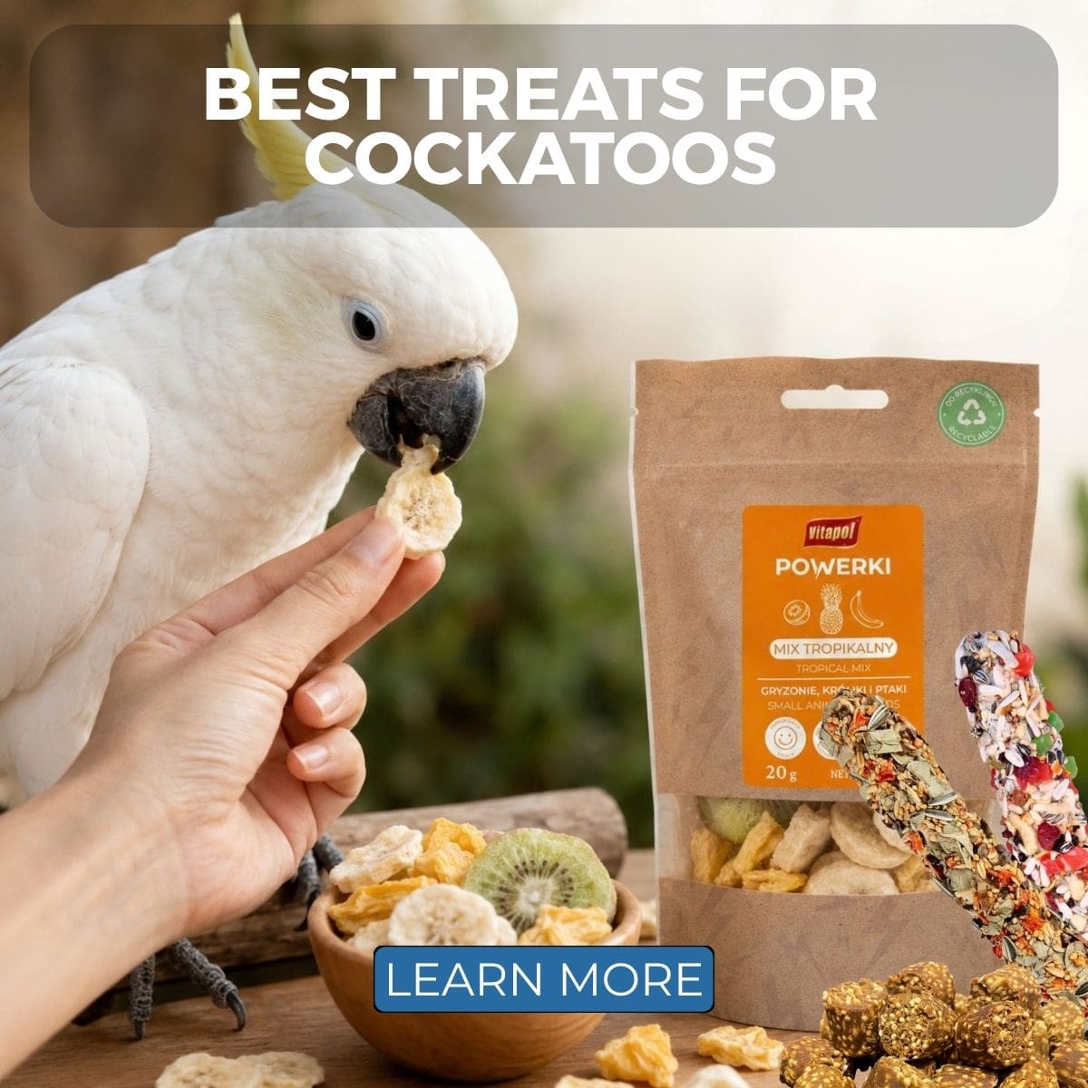 Best treats for cockatoos with a cockatoo, dried fruit, parrot treats and Vitapol snack products from Parrot Essentials.