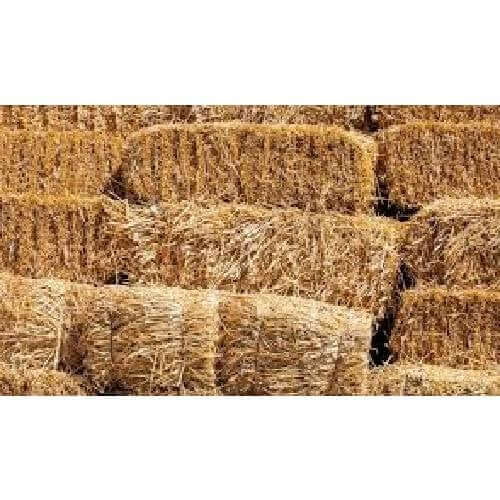 Hay