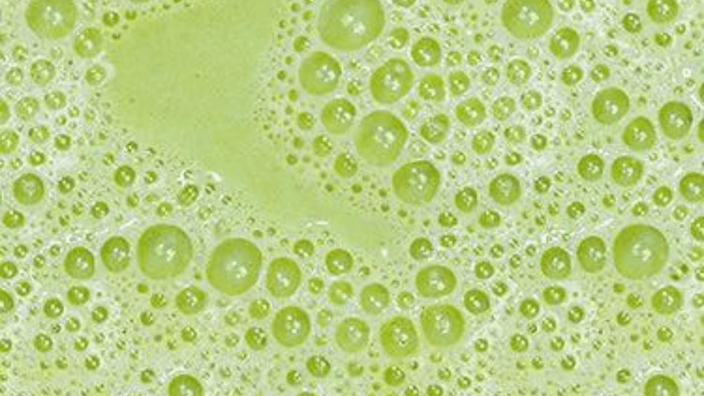 Classic Matcha Latte