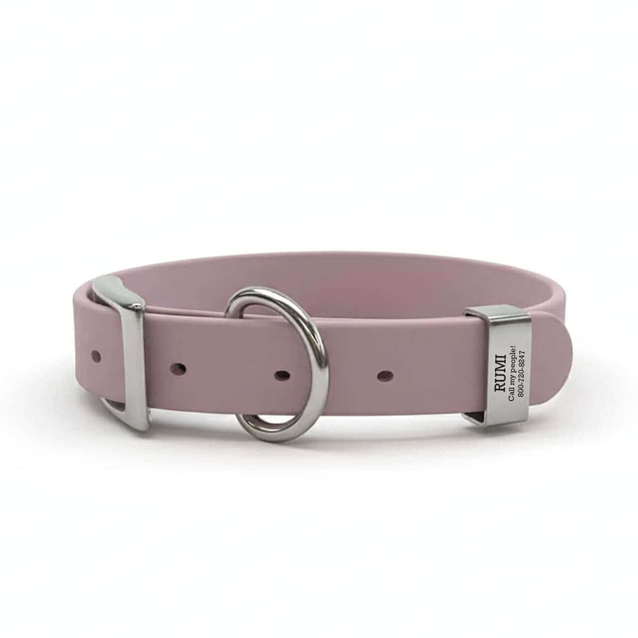 Laser Engraved Collar Keeper Dog ID Tag on Waterproof Dog Collar