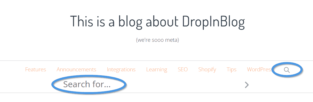 Instant Search: DropInBlog's old search bar