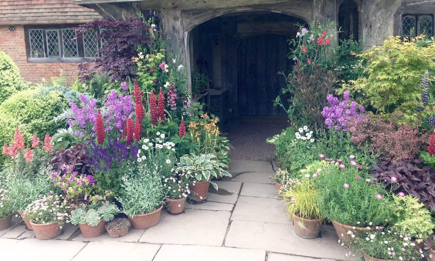 How to Group Container Plants Tips from Great Dixter - Longfield Gardens