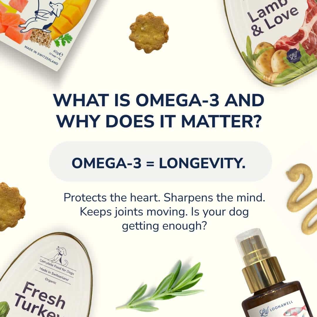 Omega-3 for Dogs: The Secret to a Longer, Healthier Life