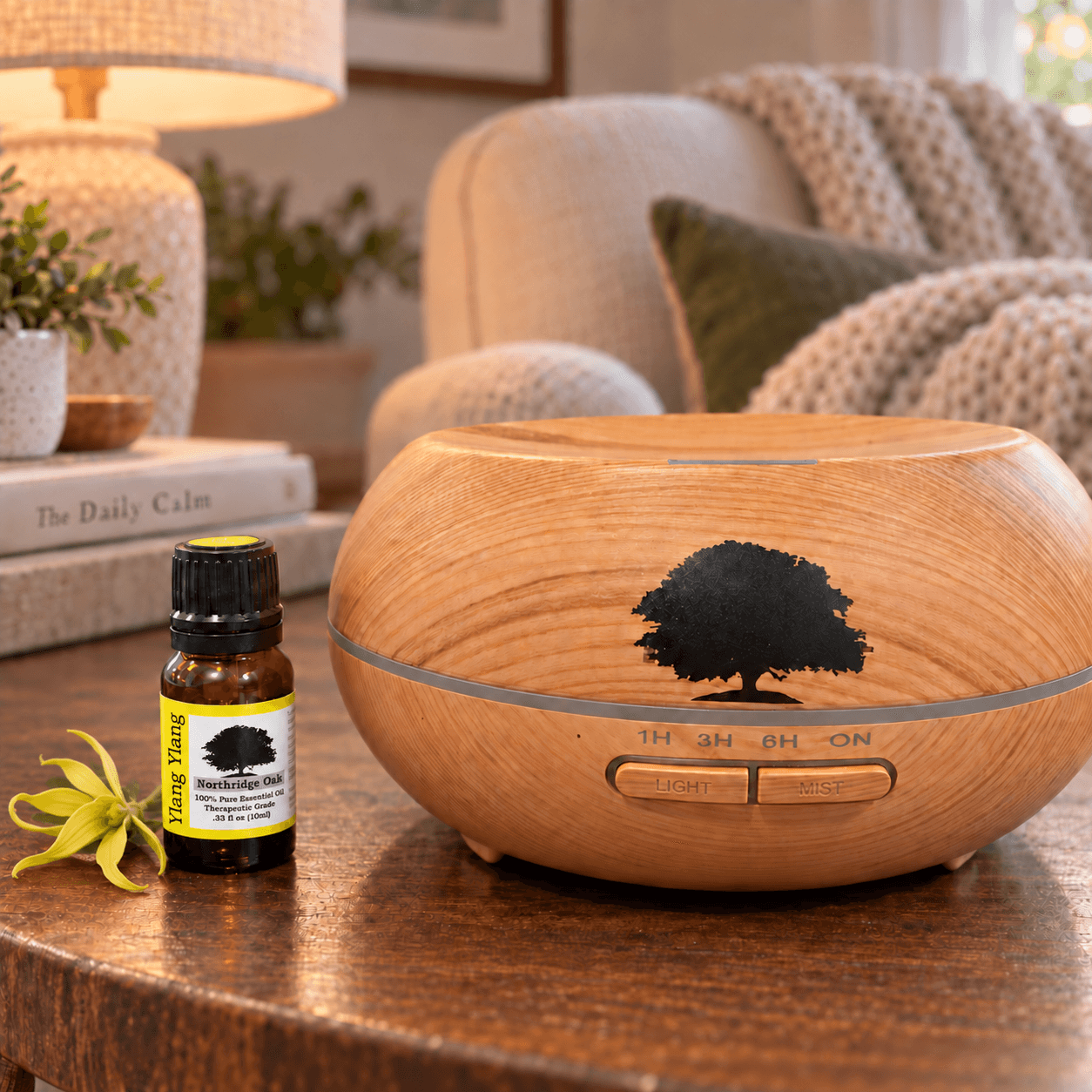 Ylang Ylang Essential Oil Diffuser Blends: 20 Floral Recipes