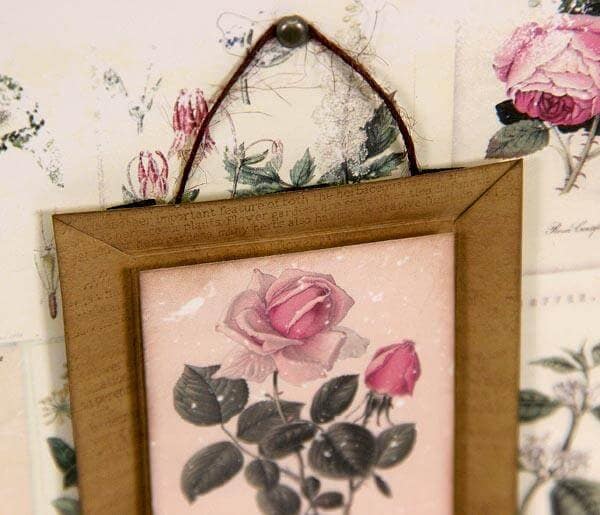 Vintage Botany Lite Prints are getting framed!