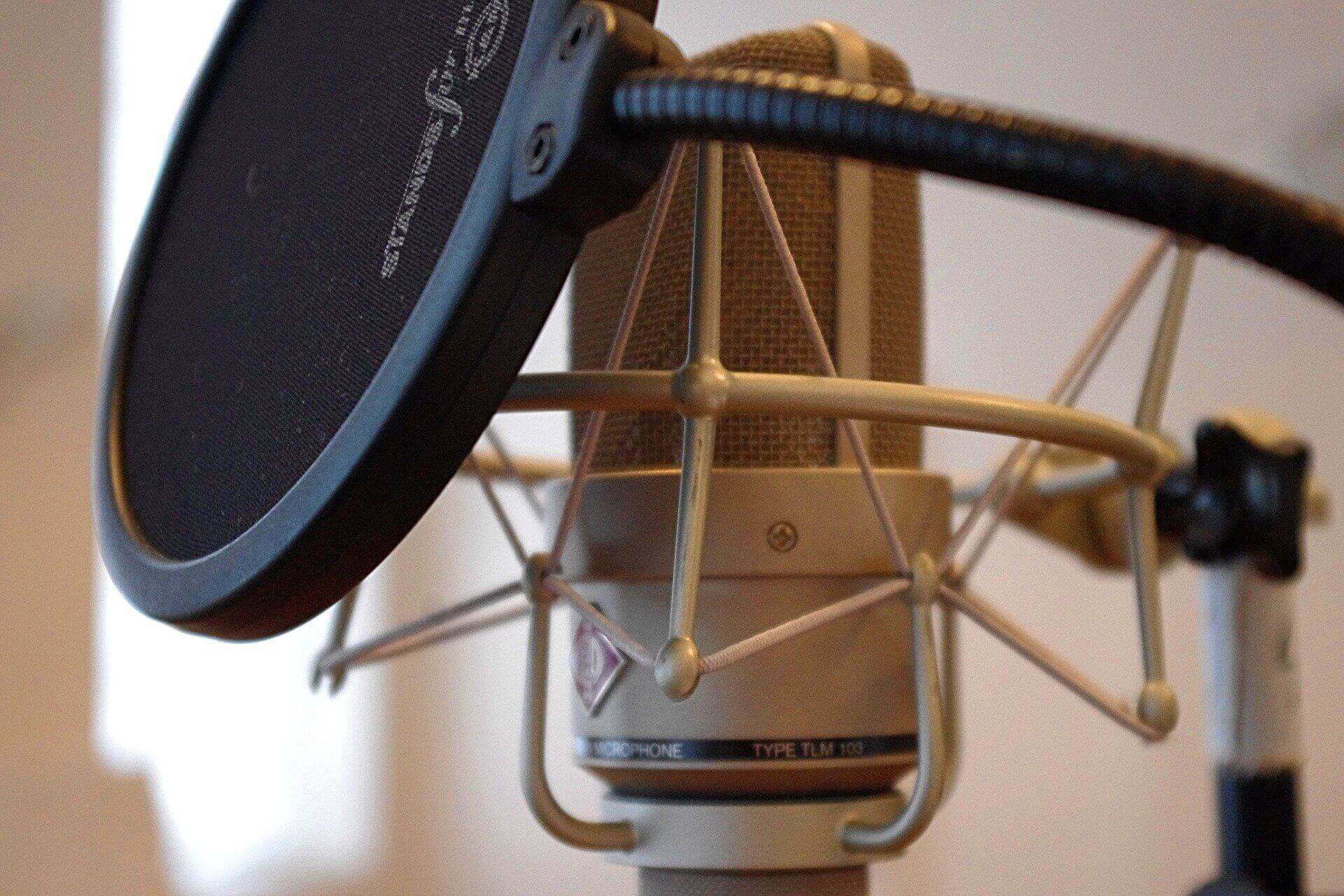 TLM 103 microphone with pop filter