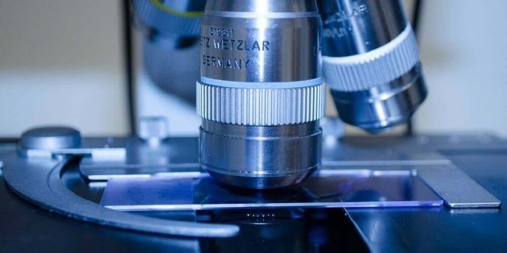Microscope Buyer’s Guide for Spore Research (Student, Intermediate, and Pro Tiers)