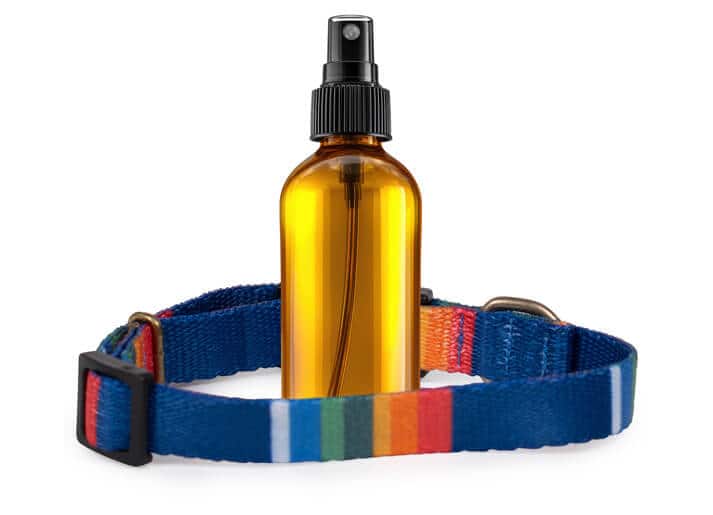 Dog Collar Essential Oils Spray