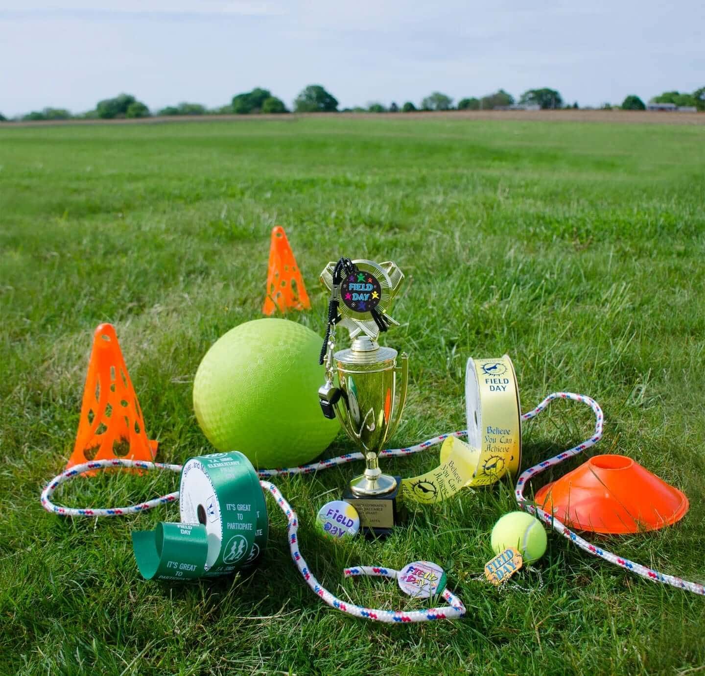 Affordable stock and custom field day awards including ribbons and trophies for all participants