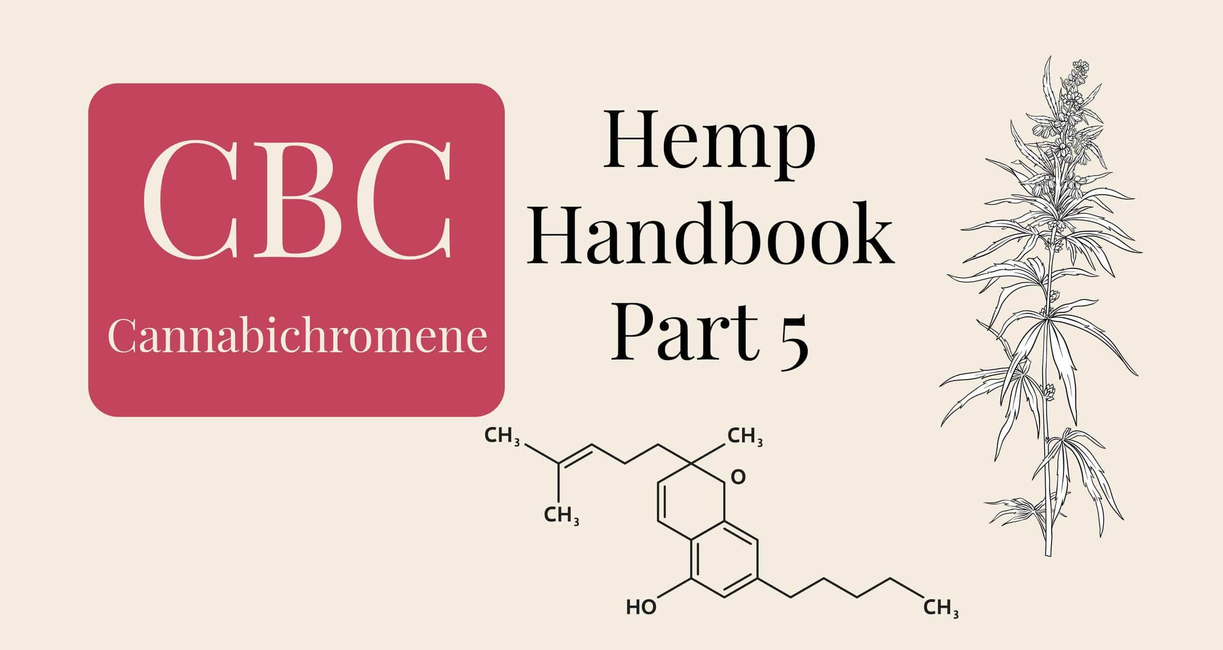 What is CBC, cannabichromene and hemp botanical illustration