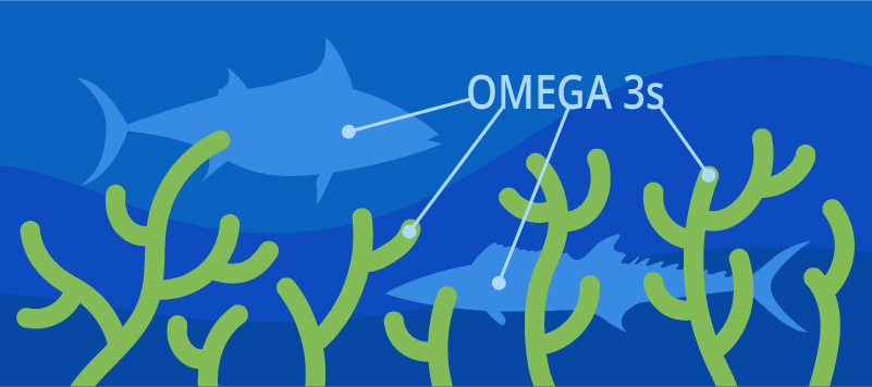 What Is Omega-3? Everything You Need To Know