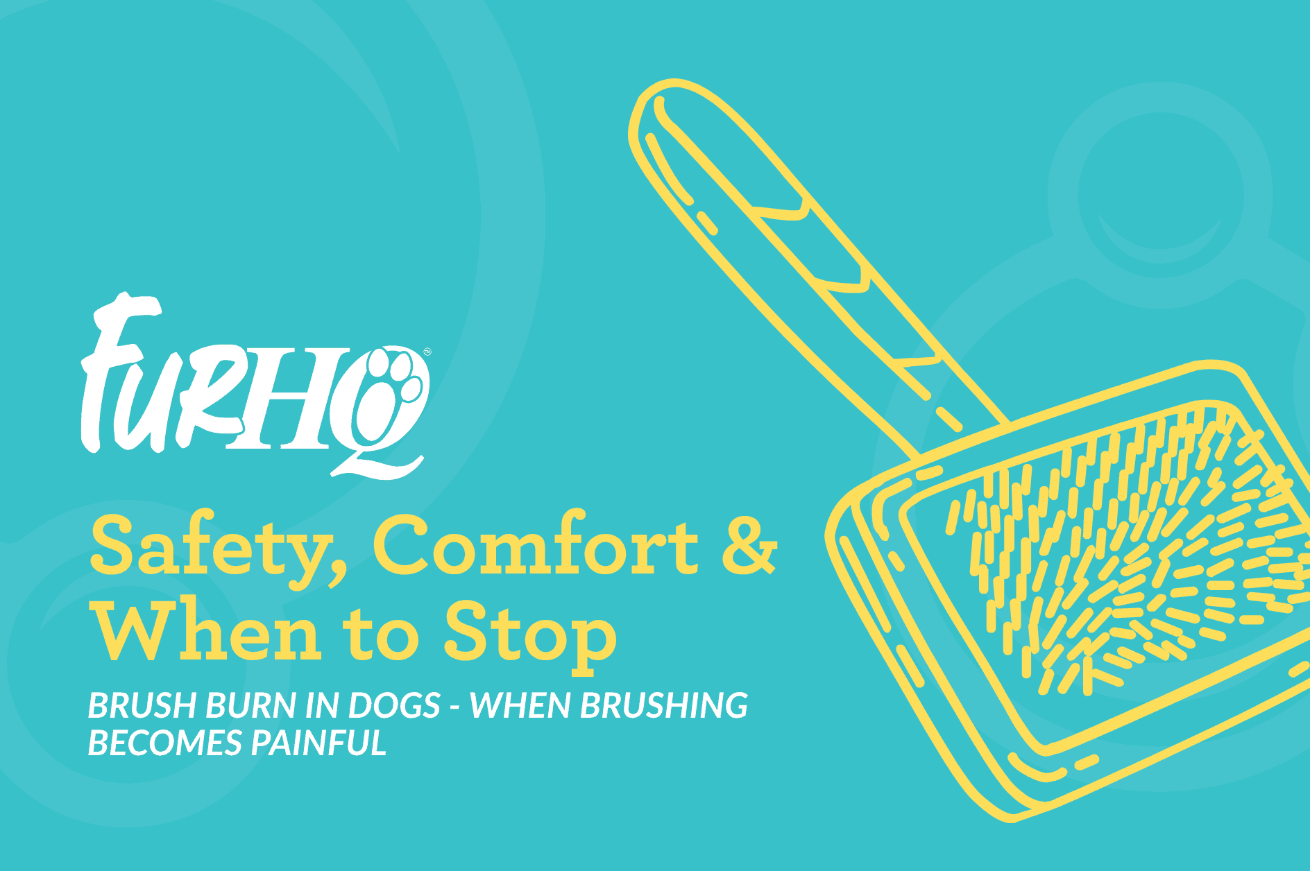 Brush Burn in Dogs - When Brushing Becomes Painful