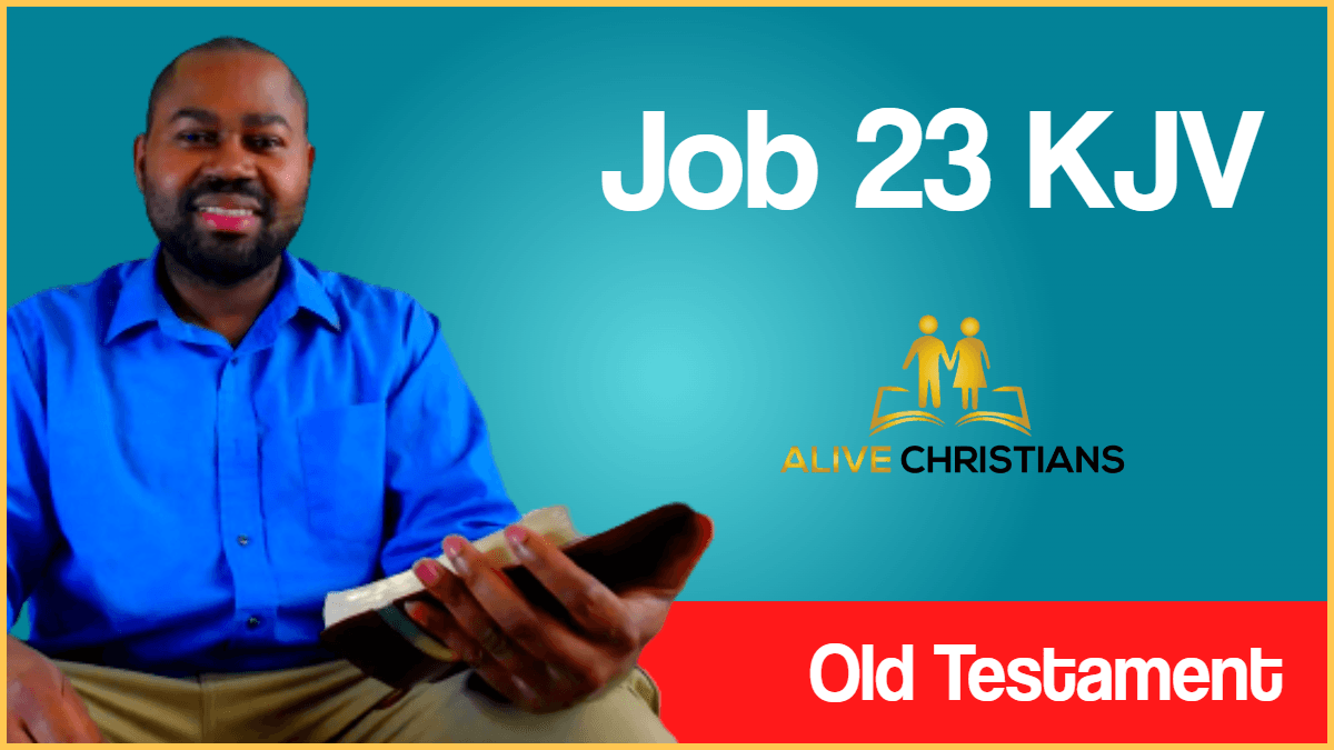 Job 23 KJV with Audio - Then Job answered and said,