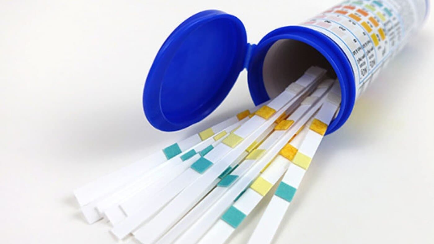 Are Aquarium Test Strips Accurate? A Closer Look