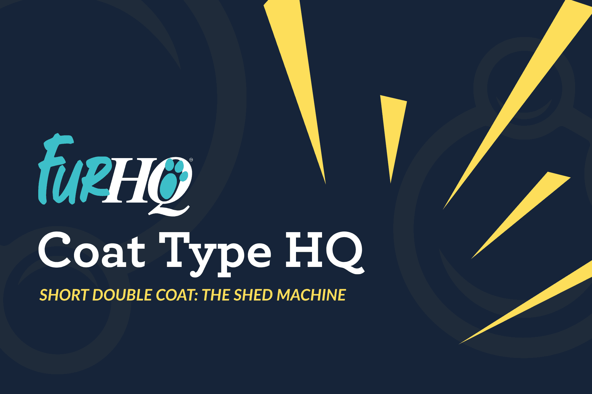 Short Double Coat Dogs: The Shed Machine That Shocks Owners