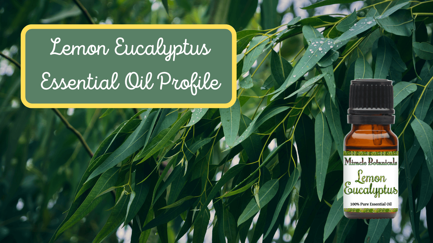 Homemade Bug Spray with Lemon Eucalyptus Essential Oil