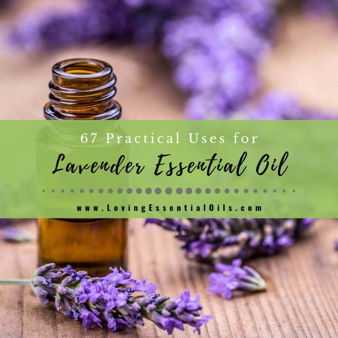 Uses for Lavender Essential Oil: 67 Ways to Use It + DIY Recipes
