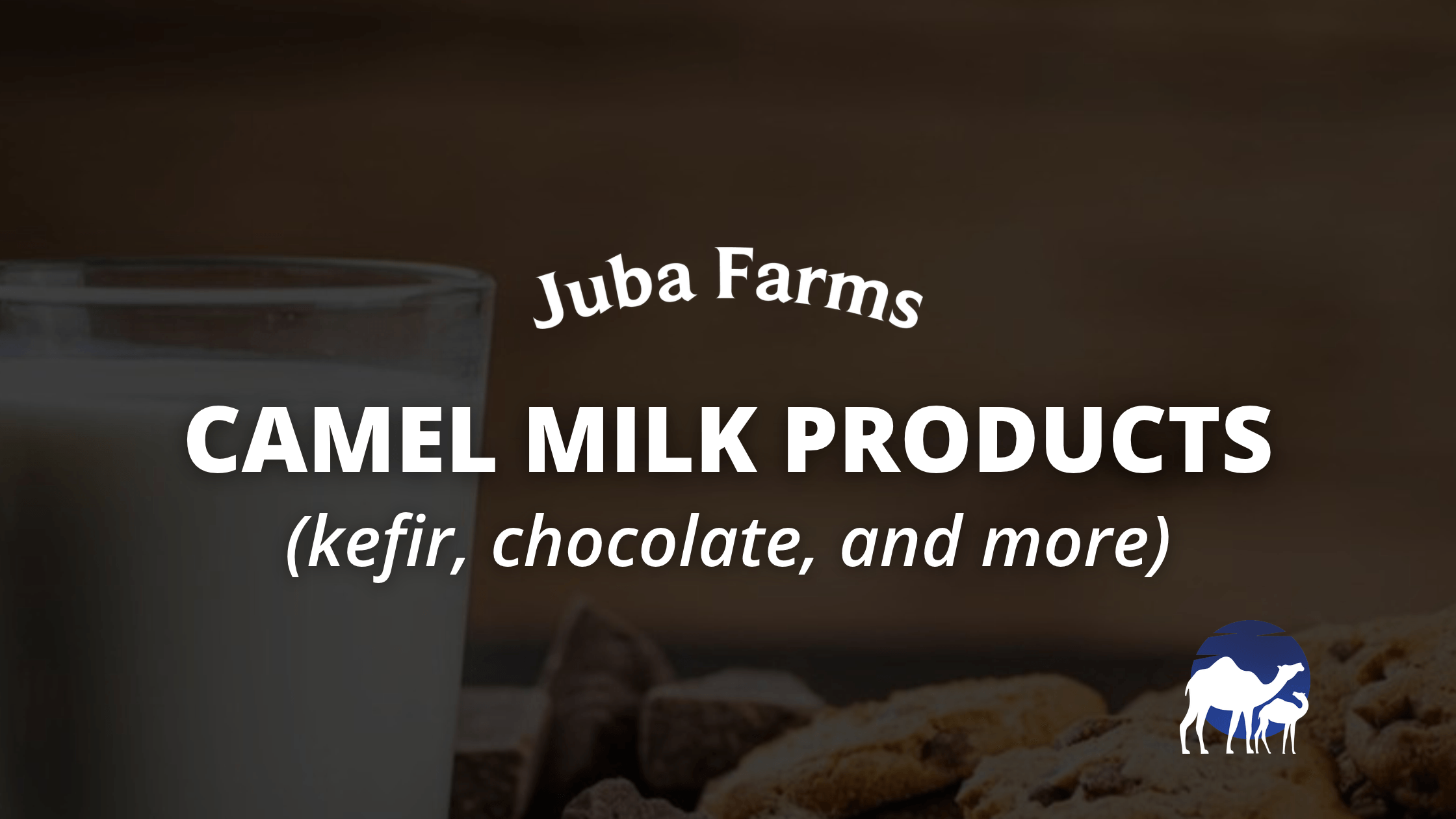 Camel milk products: kefir, chocolate and more