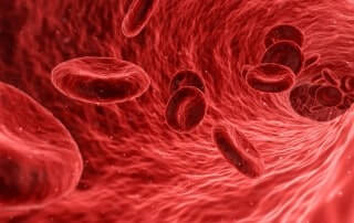 What Is the Purpose of Blood and Why Should I Care?