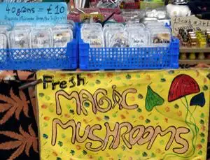 Camden Market mushroom vendor