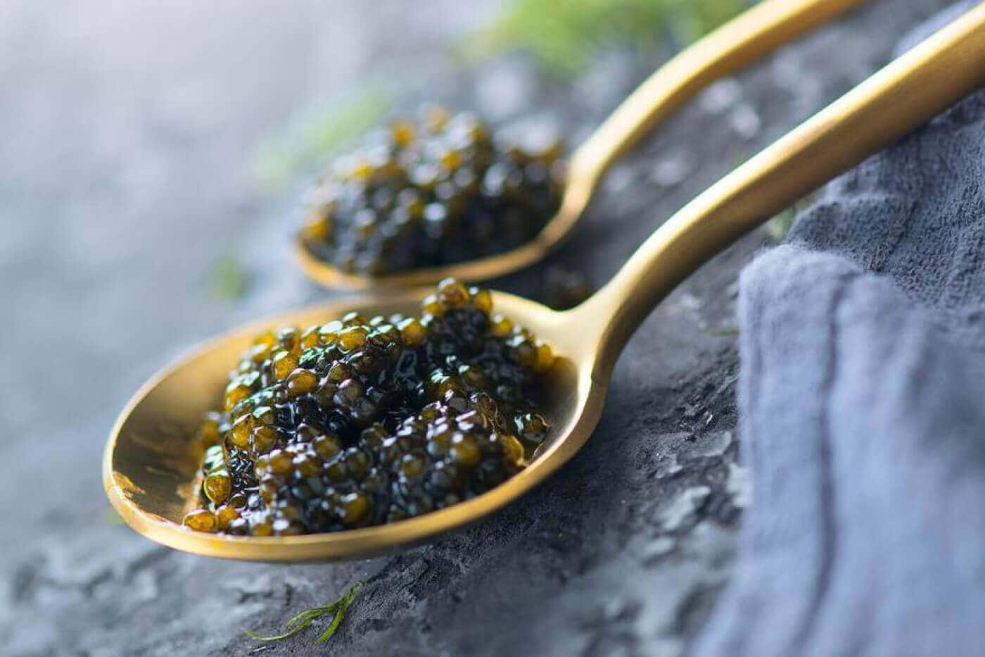 Caviar Serving Tips: Dos and Don’ts for a Perfect Presentation