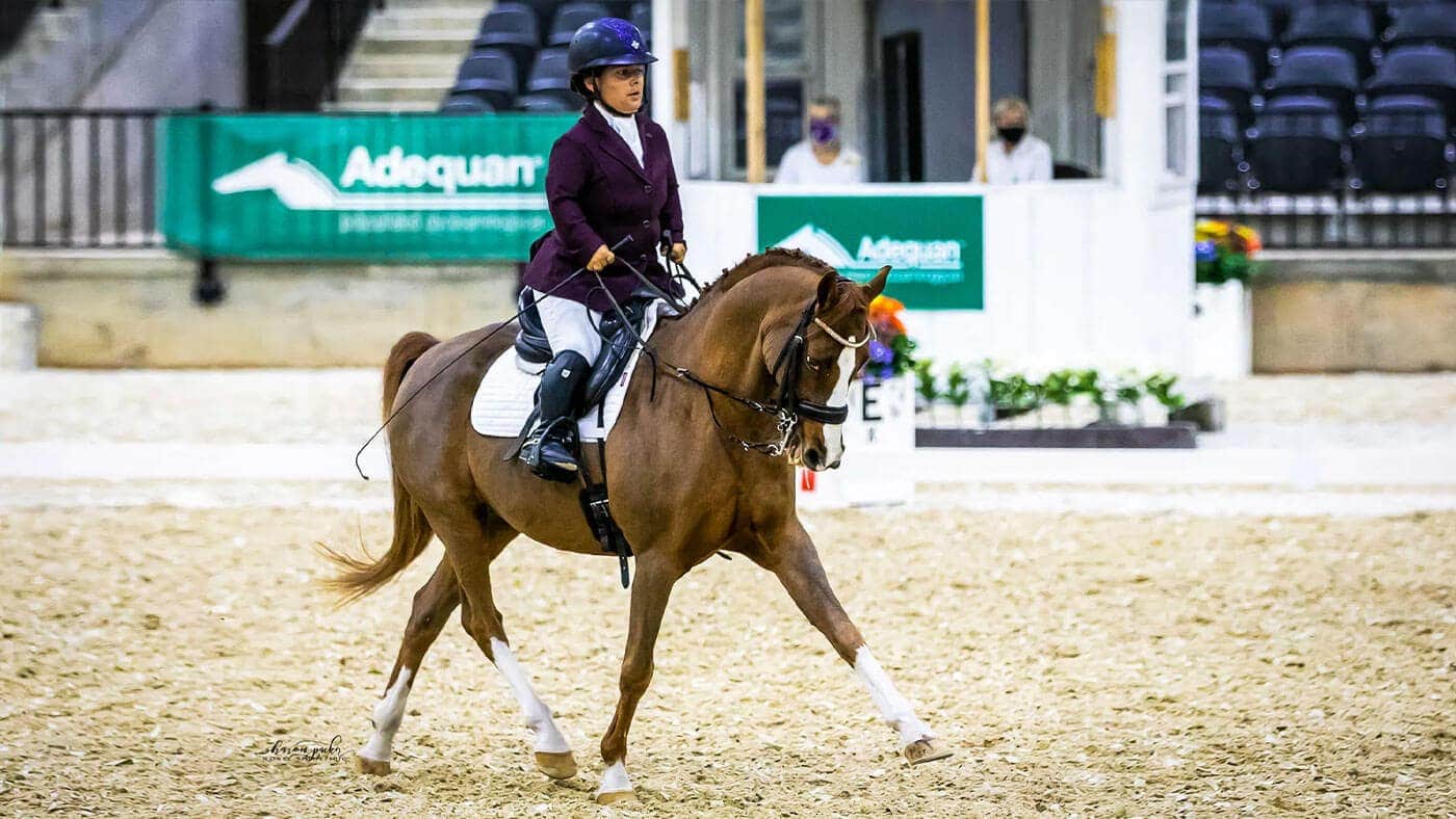 What para-equestrian disciplines are there?