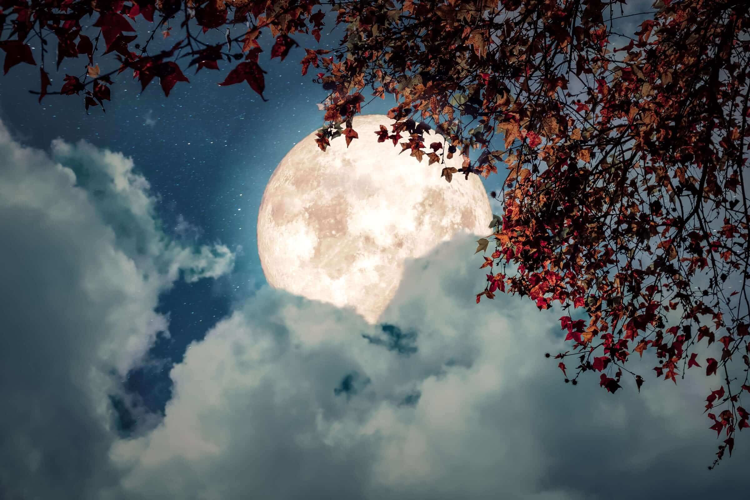 MOON MUSINGS: THE FULL MOON IN ARIES