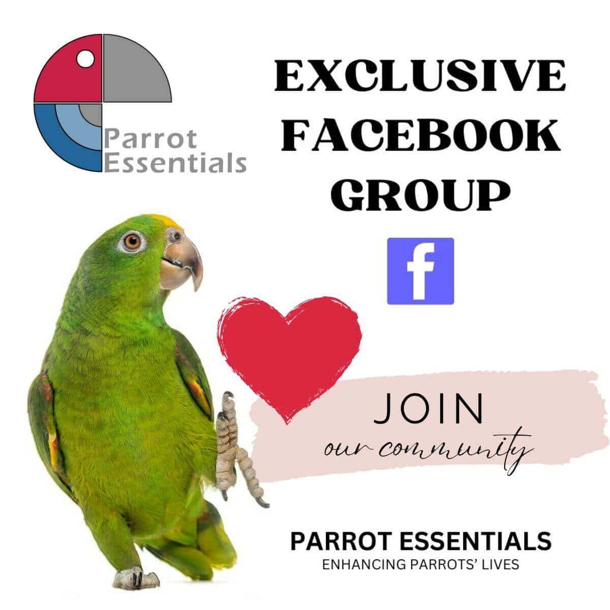 Join Our Exclusive Parrot Essentials Facebook Group