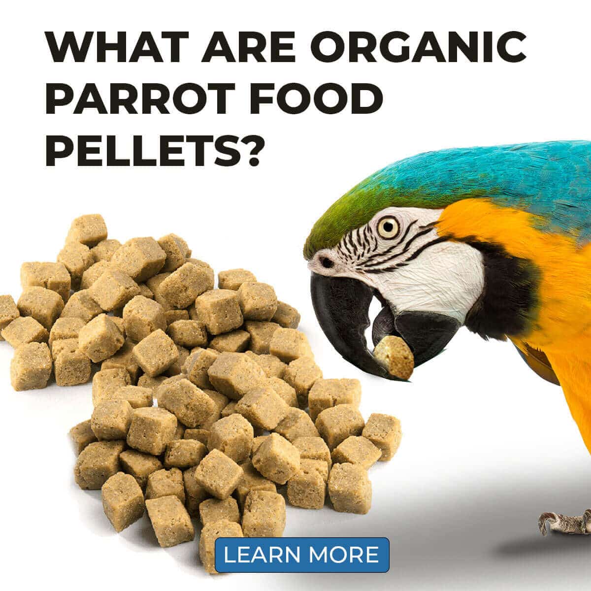 What Are Organic Parrot Food Pellets?