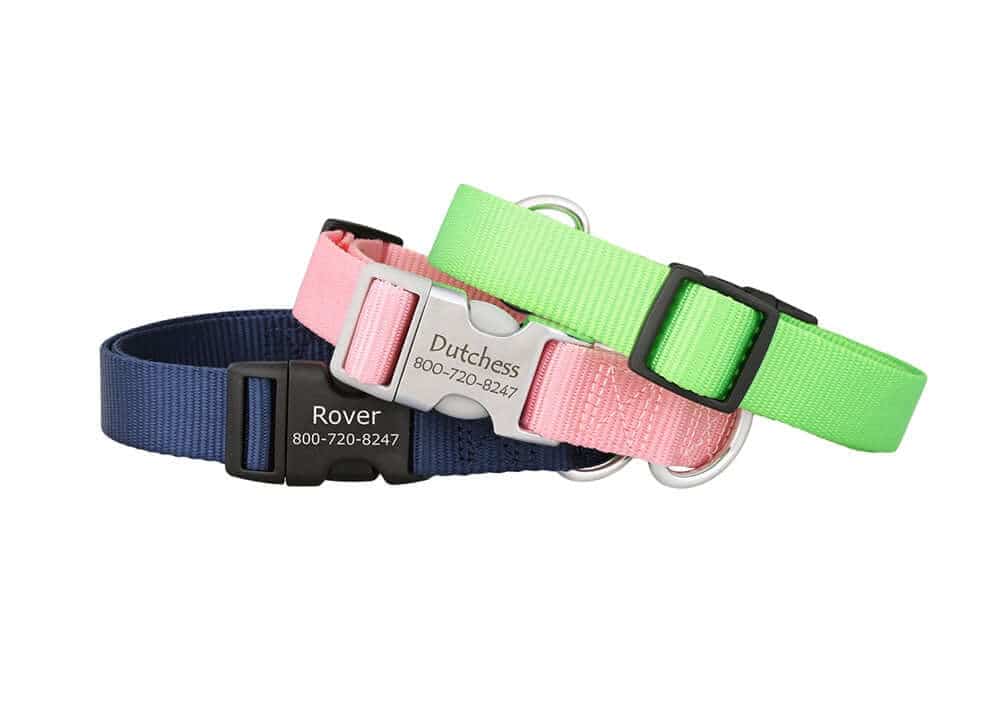 5 Benefits of Quick-Release Buckle Dog Collars