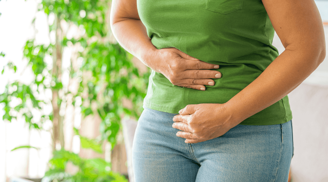 Zeolites For Gut Health: How Can They Support?