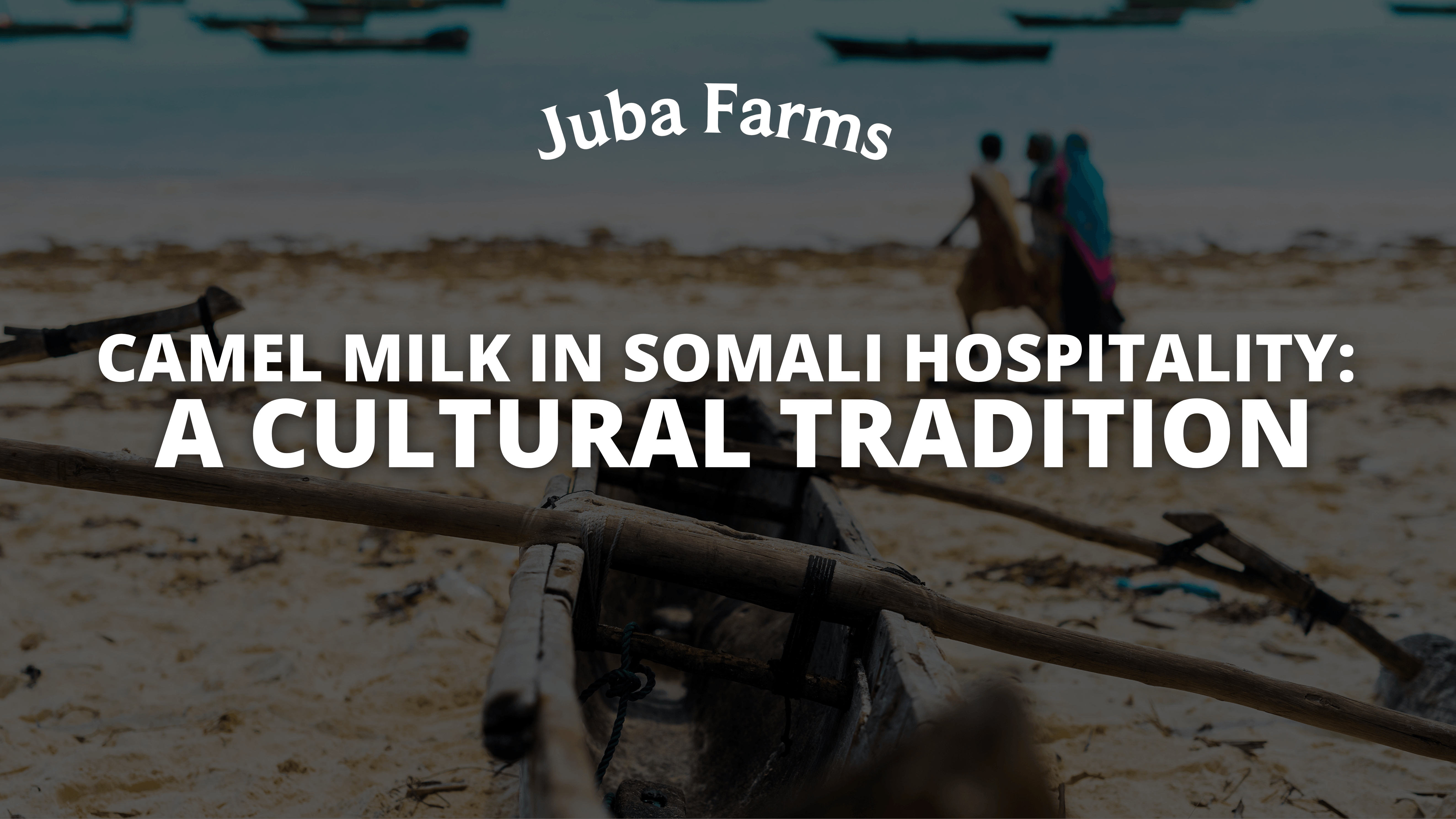 Camel Milk in Somali Hospitality: A Cultural Tradition
